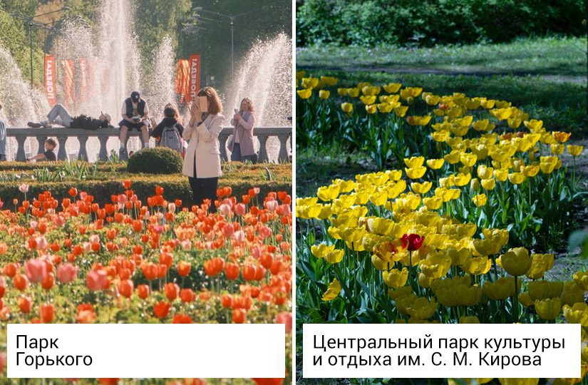 04.jpg